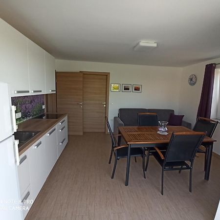 Summer Delight Apartments Savudrija Exterior photo